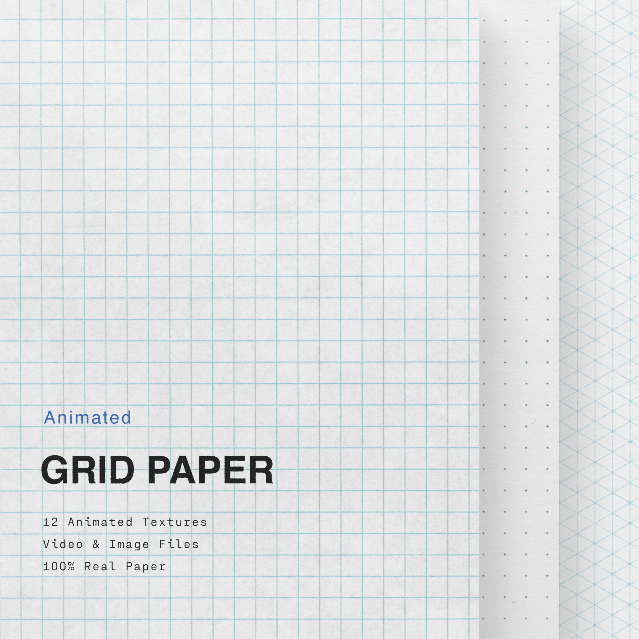Animated Grid Paper